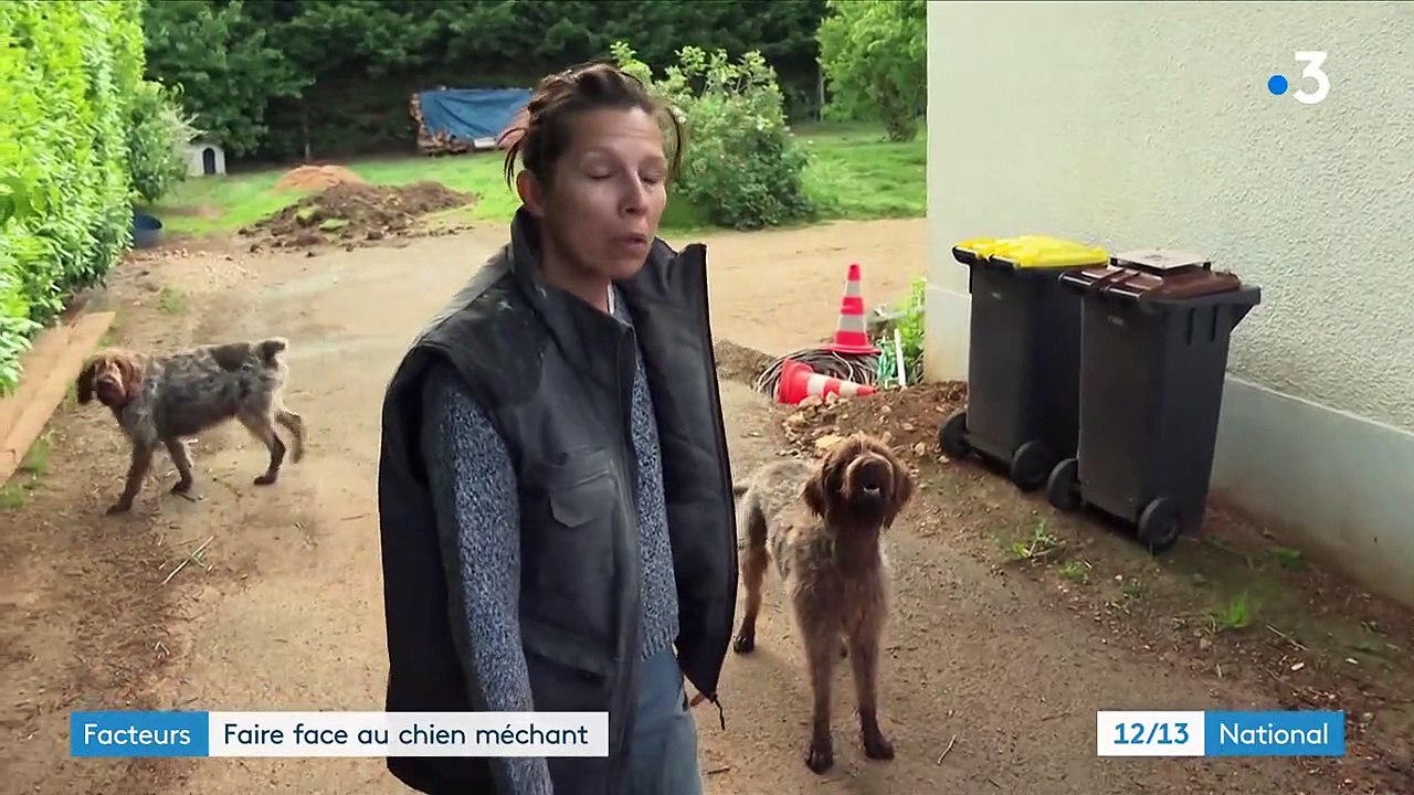 La Poste : près de Poitiers, les facteurs sont formés à faire face aux chiens méchants