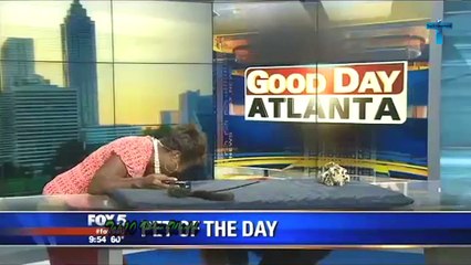 TOP 25 EMBARRASSING AND DUMBEST MOMENTS CAUGHT ON LIVE TV