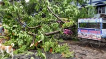 Bengal-Odisha: A look at the impact of Yaas cyclone