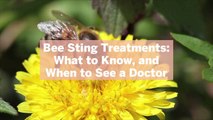 Bee Sting Treatments: What to Know, and When to See a Doctor