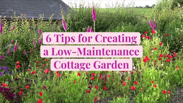 6 Tips for Creating a Low-Maintenance Cottage Garden That's Filled with Flowers