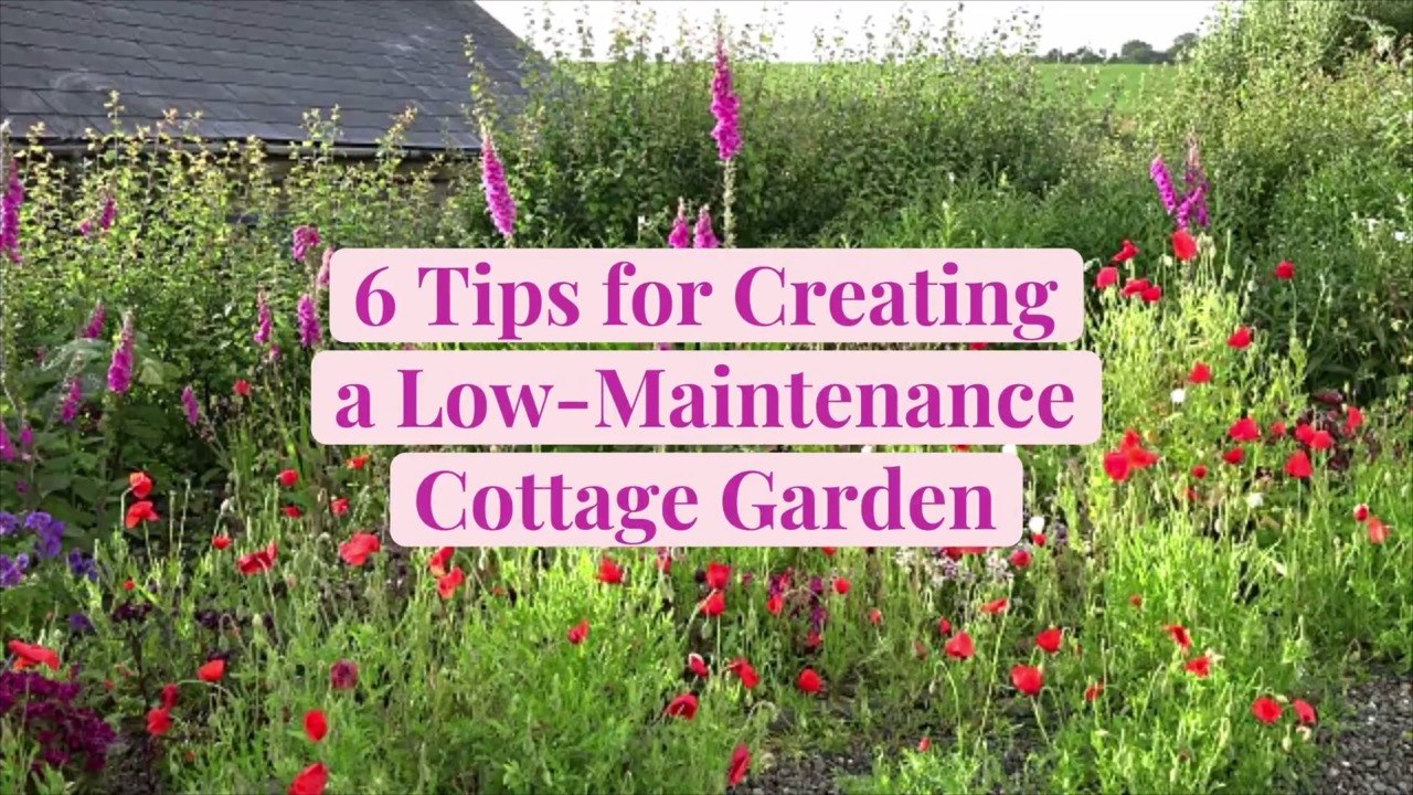 6 Tips for Creating a Low-Maintenance Cottage Garden That's Filled with Flowers