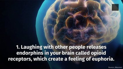 Discover Why Laughter Truly Is the Best Medicine 🧪