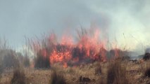 Son dakika haberleri! Hatay'da anız yangını 350 dönüm makilik alanda zarara yol açtı