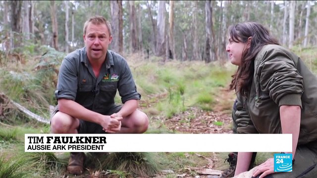 Tasmanian devils born on Australian mainland