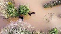 A Heroic Rescue of These Horses Trapped in Freezing Floodwater Captured on Camera!