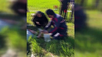 Sivas’ta kamyonet şarampole uçtu: 2’si ağır 5 yaralı