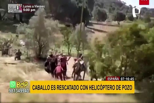 España: Rescatan con un helicóptero a un caballo atrapado en un foso
