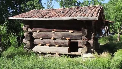 KASTAMONU - Arıcılık yapan aile 150 yıllık kovanlıkta bal üretiyor