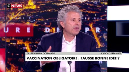 Gilles-William Goldnadel : «Je ne trouve pas liberticide la proposition des académiciens, même si je n’y souscris pas»