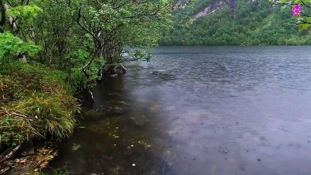 15 Minute Meditation Music for Stress-Relief | Rain | River | Relaxation | Study | Sleep | Focus | Concentration | Soothing | Healing | Serene | Calming | Joyful