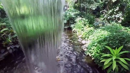 15 Minute Meditation Music, Relaxing Music, Calming Music, Stress Relief Music, Study Music, _yin_yang