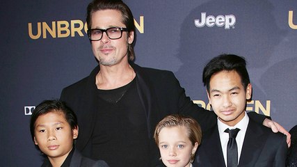 Brad Pitt Wins Joint Custody of His Children
