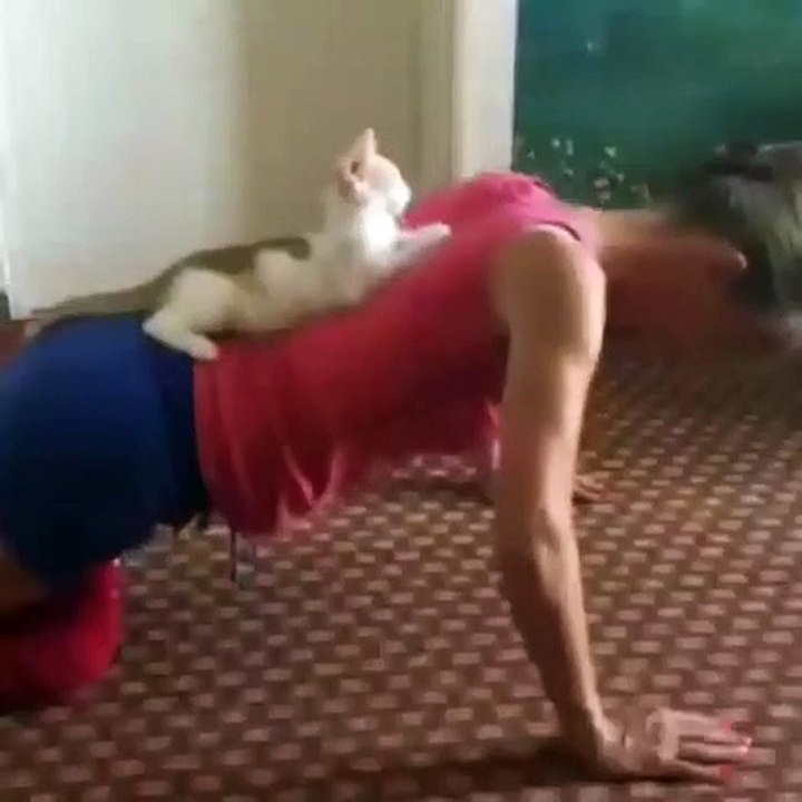 Gymnastique avec un chat