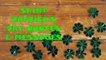 Saint Patrick's Day Quotes and Messages, Sayings, Wishes