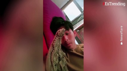 Joven cuida de un cocodrilo y duerme con él como si fuera cualquier mascota en una vivienda