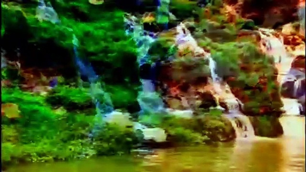 في الطائرة