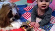 أطفال رائعتين اللعب مع الكلاب والقطط - أطفال مضحك تجميع 2018
