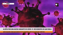 Alerta por una nueva variante de coronavirus descubierta en San Pablo