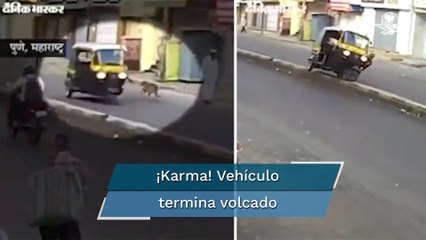 Por intentar patear a perrito conductor de mototaxi sufre accidente