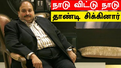 மோசடி மன்னன் Mehul Choksi அதிரடி கைது! Dominicaவில் பிடிபட்டார் | Punjab National Bank