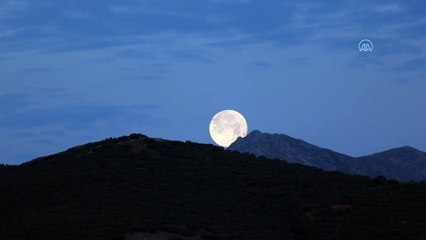 KONYA - Gökyüzünü 'Süper Ay' süsledi