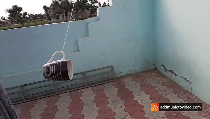 Hanging like a pro  | यह गिलास कुछ ज्यादा ही खुश है