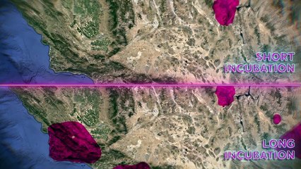 Would Your City Survive A Zombie Apocalypse  Army of the Dead  Netflix