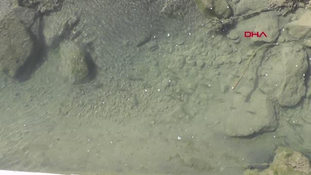 Son dakika haberleri: ERZURUM KURUYAN ÇAYDAKİ BALIKLARA İTFAİYEDEN 'CAN' SUYU