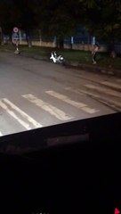 Vợ bế con chờ chồng tài xế, ăn vội bữa cơm ngay trên xe