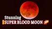 Lunar Eclipse 2021: ‘Super Blood Moon’ Leaves Millions Of Stargazers Mesmerised