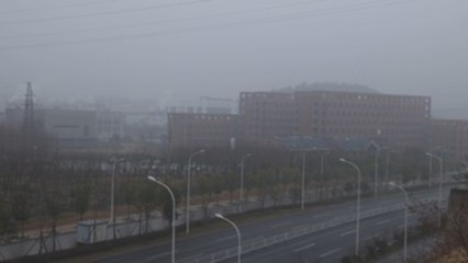 China acusa de "manipulación" a quienes reavivan la teoría del laboratorio