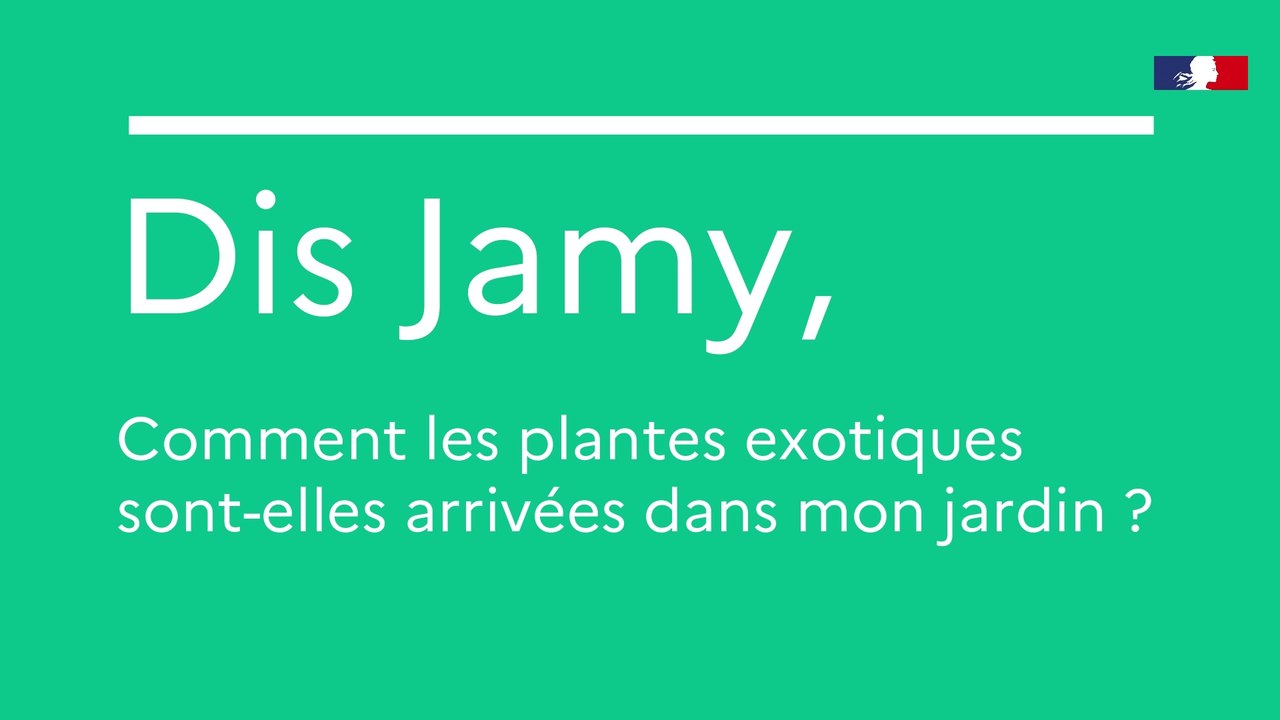 Dis Jamy, comment les plantes exotiques sont-elles arrivées dans mon jardin ?