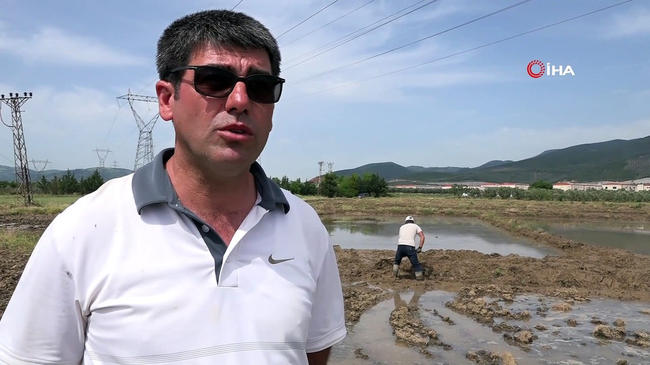 Çeltik üretiminin çileli yolculuğu başladı