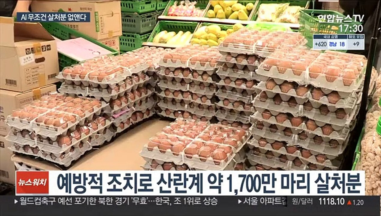 고병원성 AI 무조건 살처분 없앤다…농장에 선택권
