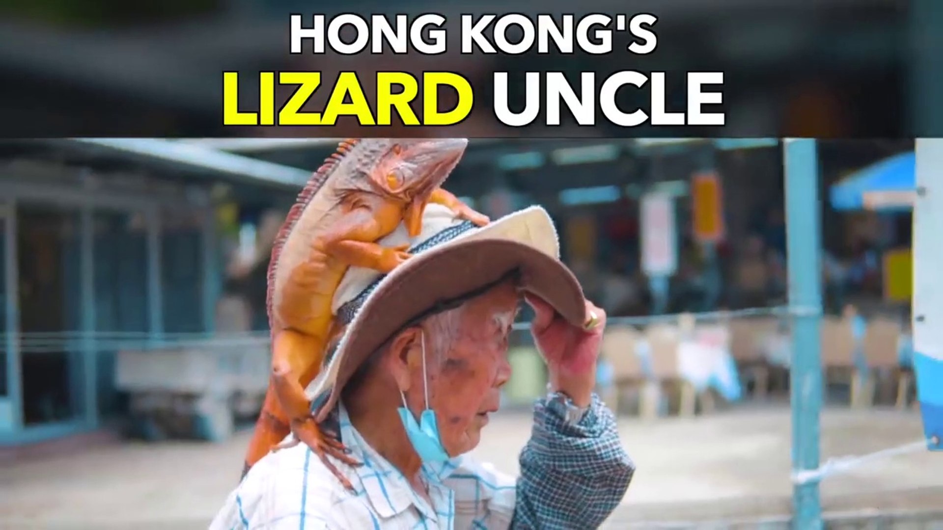 Hong Kong's Lizard Uncle # old uncle handle this big lizard so easily # LIZARD MY BEST FRIEND