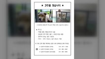 '남양주 개 물림 사고' 현장검증·대질...견주 파악 주력 / YTN