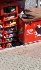 Son dakika haberi... Bakkaldan cips çalan karga kamerada