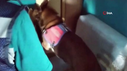 Uyuşturucuyu imha etmek üzereyken yakalandı