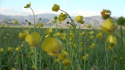 Yüksekova'da yaz-kış bir arada