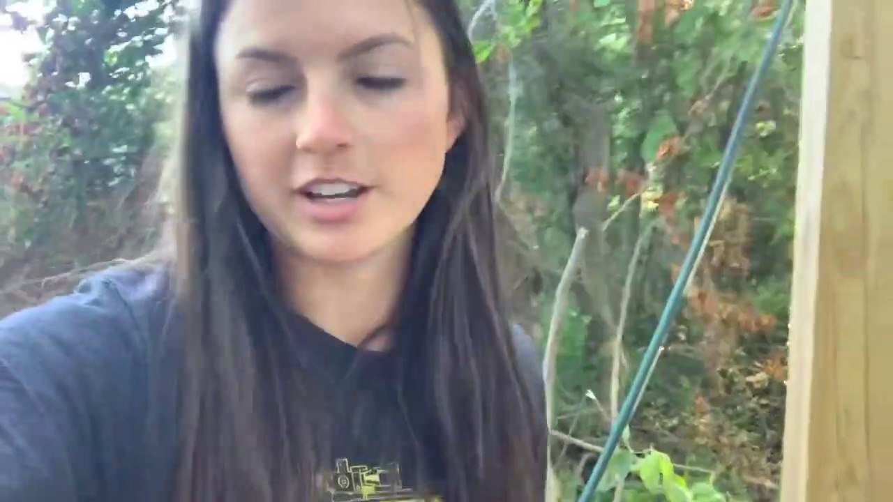 LIVE from the Catfish Cabin!