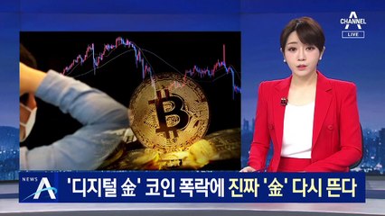 ‘디지털 金’ 코인 폭락에 진짜 ‘金’ 다시 뛴다…‘금테크’ 각광