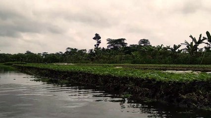 Beautiful Bangladesh । Land Of River । Travel । With Friends । Nazirpur