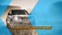 How to Determine the Damaged Engine Immobilizer in BMW