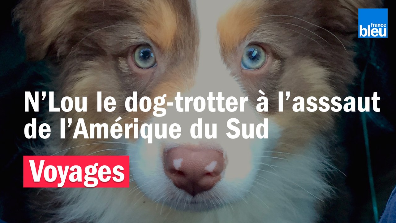 L'incroyable voyage de N'Lou le dog-trotter en Amérique du Sud avec Marine et Damien
