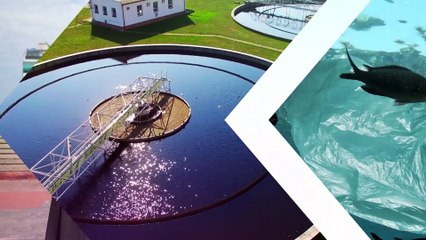 Último rio selvagem da Europa ameaçado devido às barragens