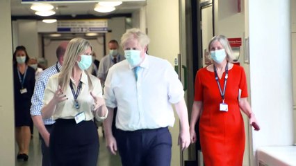 Johnson says govt 'did everything we could' to protect care