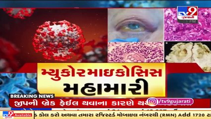 Delhi high court waives import duty on AmphotericinB until centre's decision _ TV9News