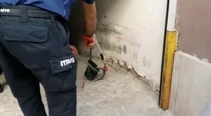 Şehir merkezinde bir garajda zehirli yılan yakalandı