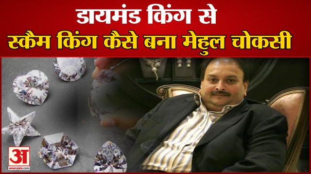 कैसे सबसे बड़ा Diamond Trader Mehul Choksi बना PNB Scam का Mastermind Antigua Police | Dominica